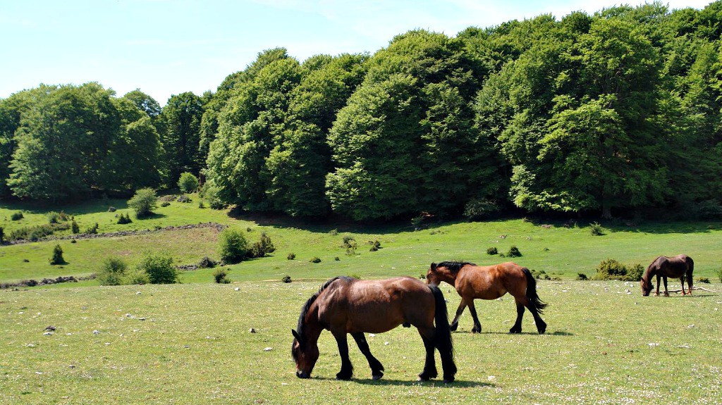 Sierra de Urbasa - Turismo en Navarra